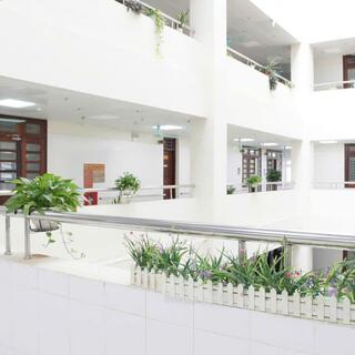 <a href="/kham-chua-benh" title="Khám chữa bệnh" rel="dofollow">KHÁM CHỮA BỆNH</a>